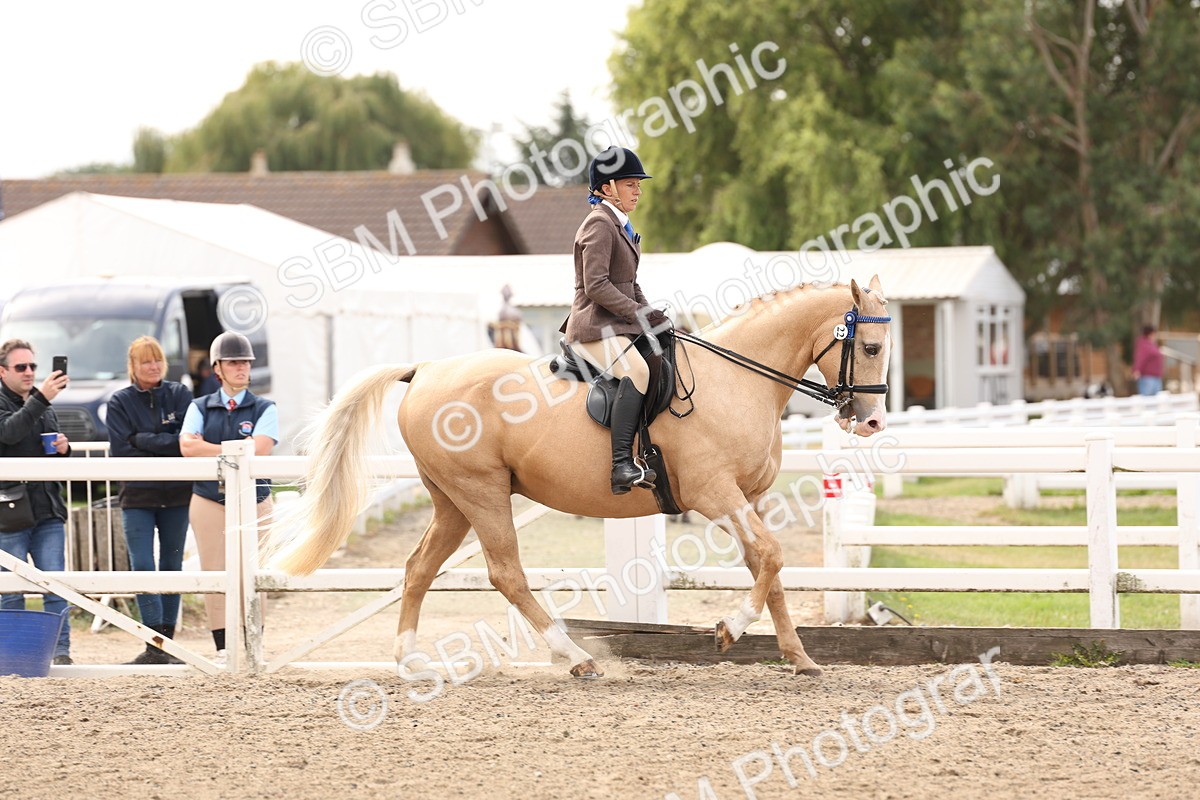 SBM_04234 - Class 54 - Riding Club Horse/Pony