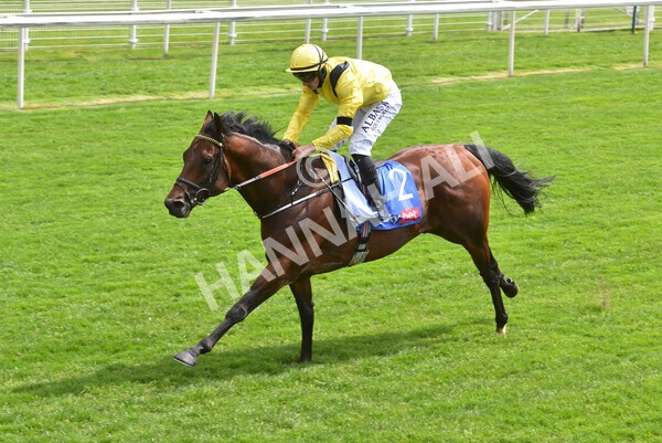 yr12052021r1-43 - Race 1 1.40pm Sky Bet Race to the Ebor Jorvik Stakes