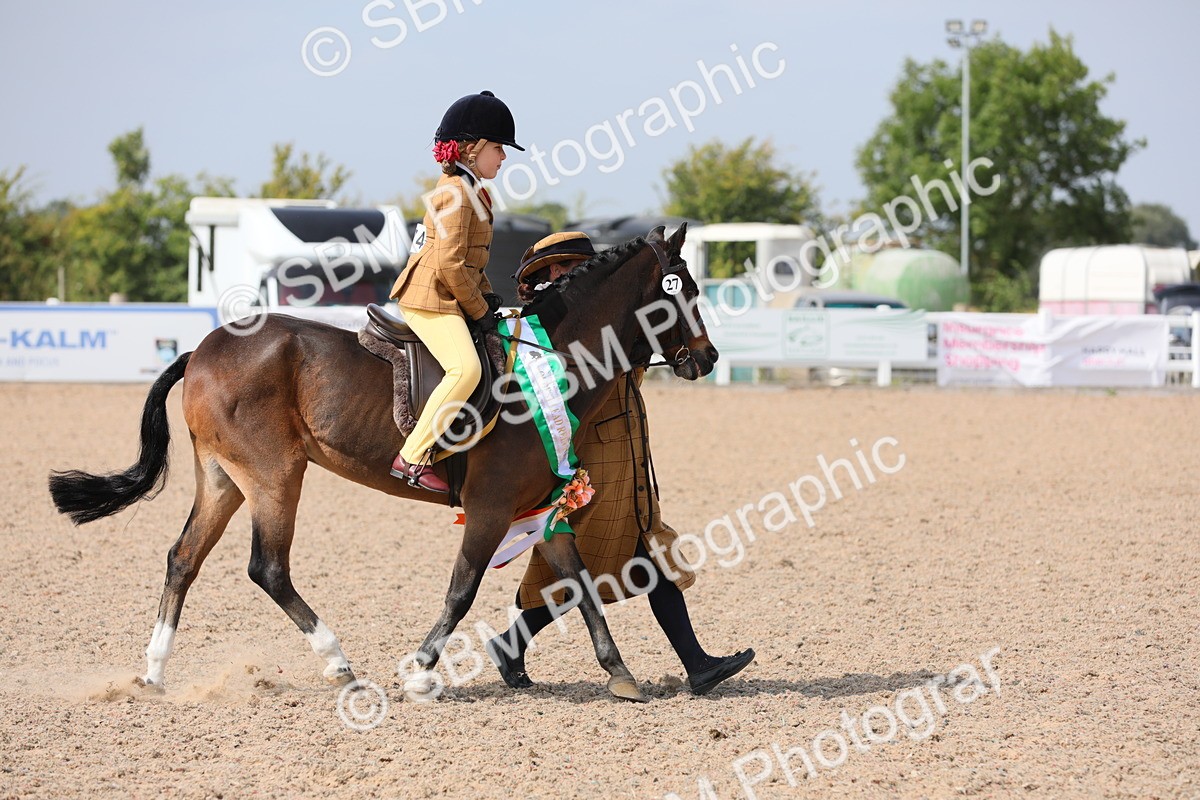 SBM_14132 - Class 309 Lead Rein Pony