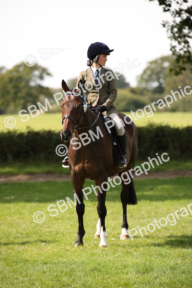 SBM_65986 - S64 - Riding Horse & Hack & Thoroughbred Ridden