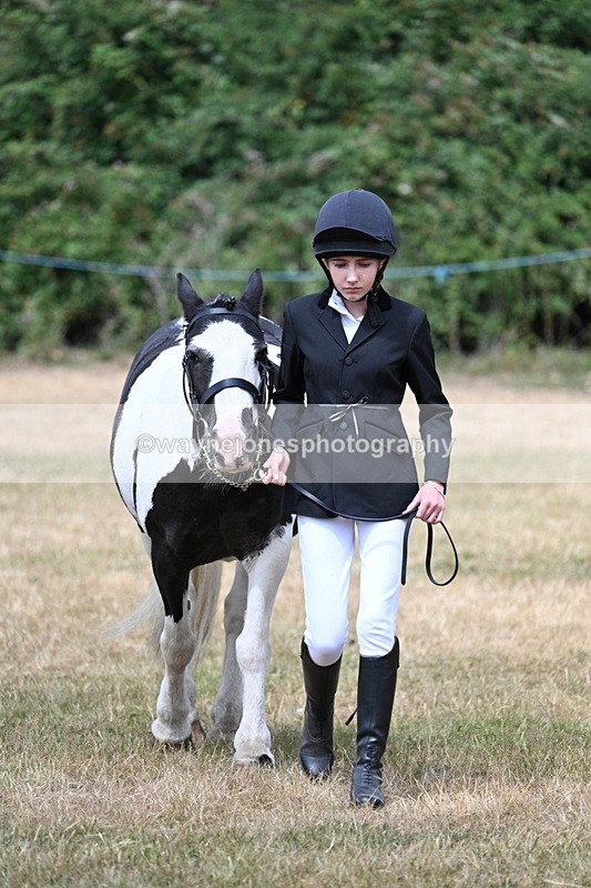 WJ7_1698 - Class 4 Prettiest Mare up to 14.2hh in hand