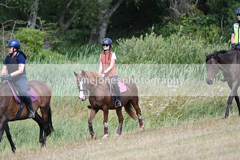 WJ7_5222 - Time 11:22 to 11:41