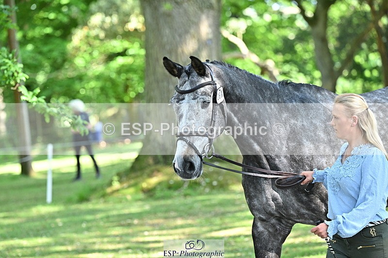 250521A-160552-00916 - C-268-Lucy.Stimson-RUSTINO