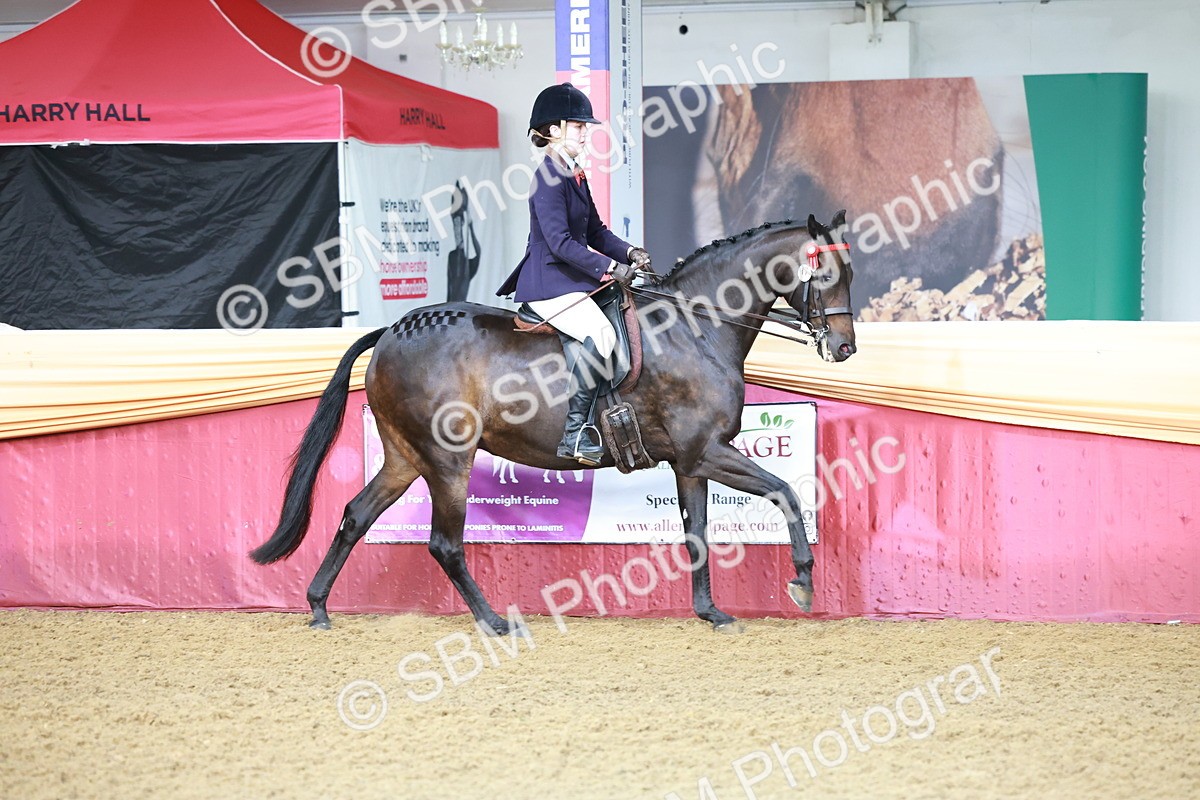 SBM_11828 - Class 102 - Equitation (Best Rider) Adult