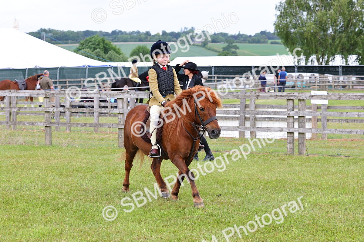 SBM_08567 - Class 42-43 - LIHS BSPS Heritage Working Sports Pony