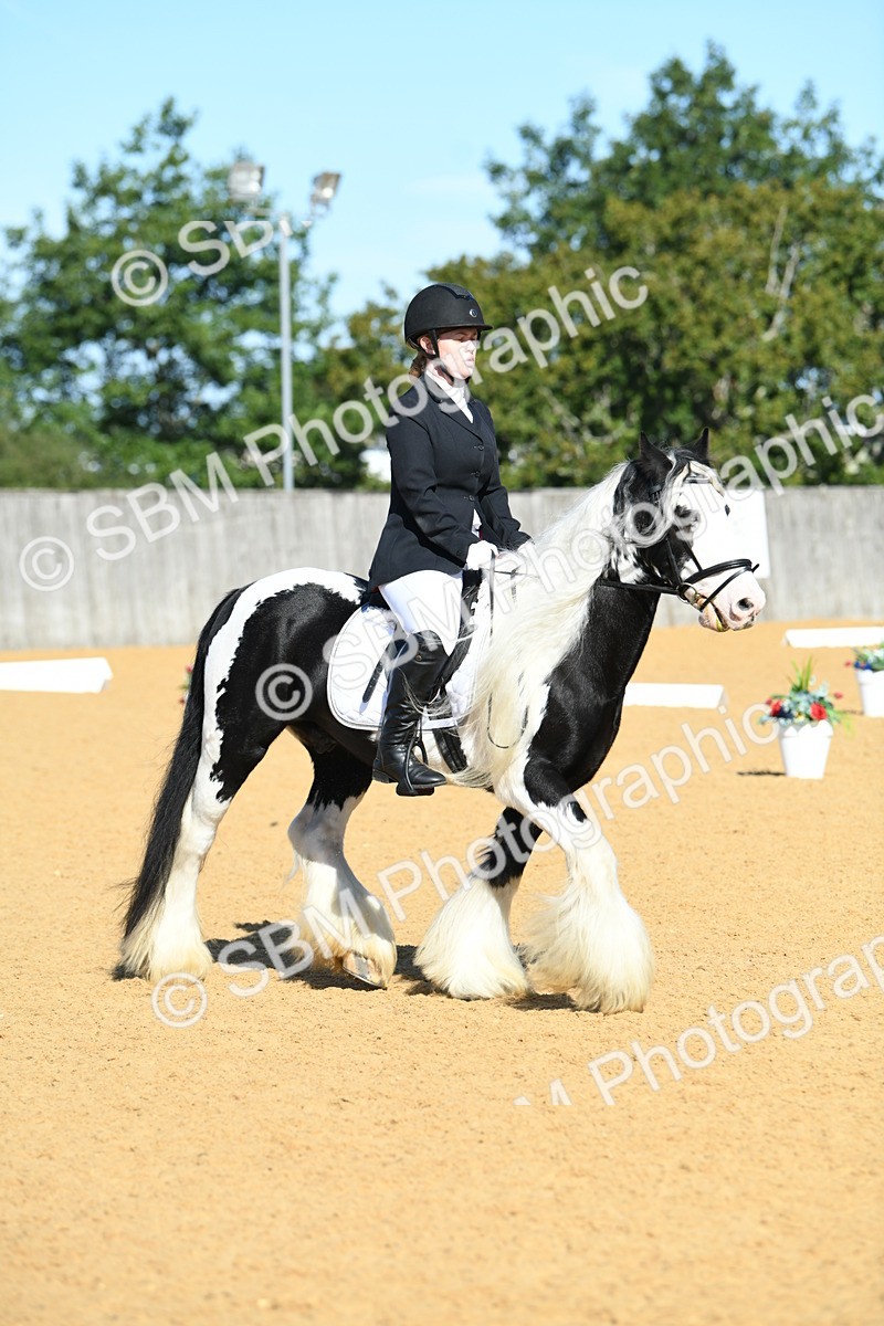 SBM_18057 - D4 - Small Tour Championship - Intro B