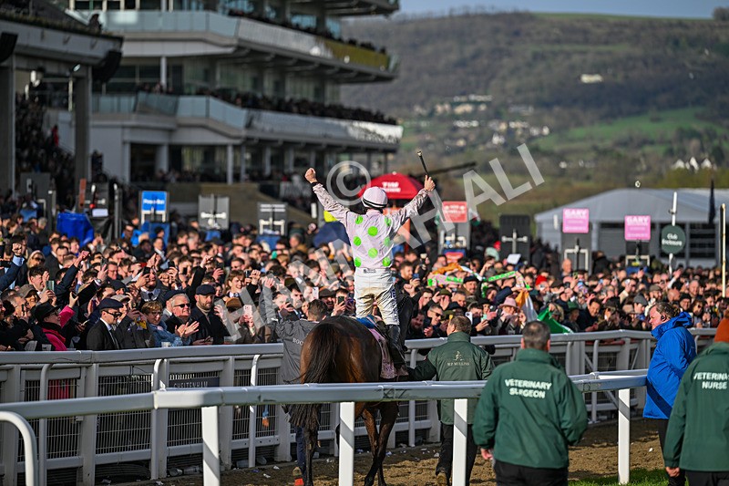 130326-Race 5-Gaelic Warrior-2811 - 13th March