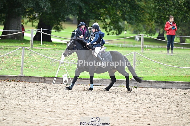 251005A-135317-04201 - Cls 09 Nov 80-85cm