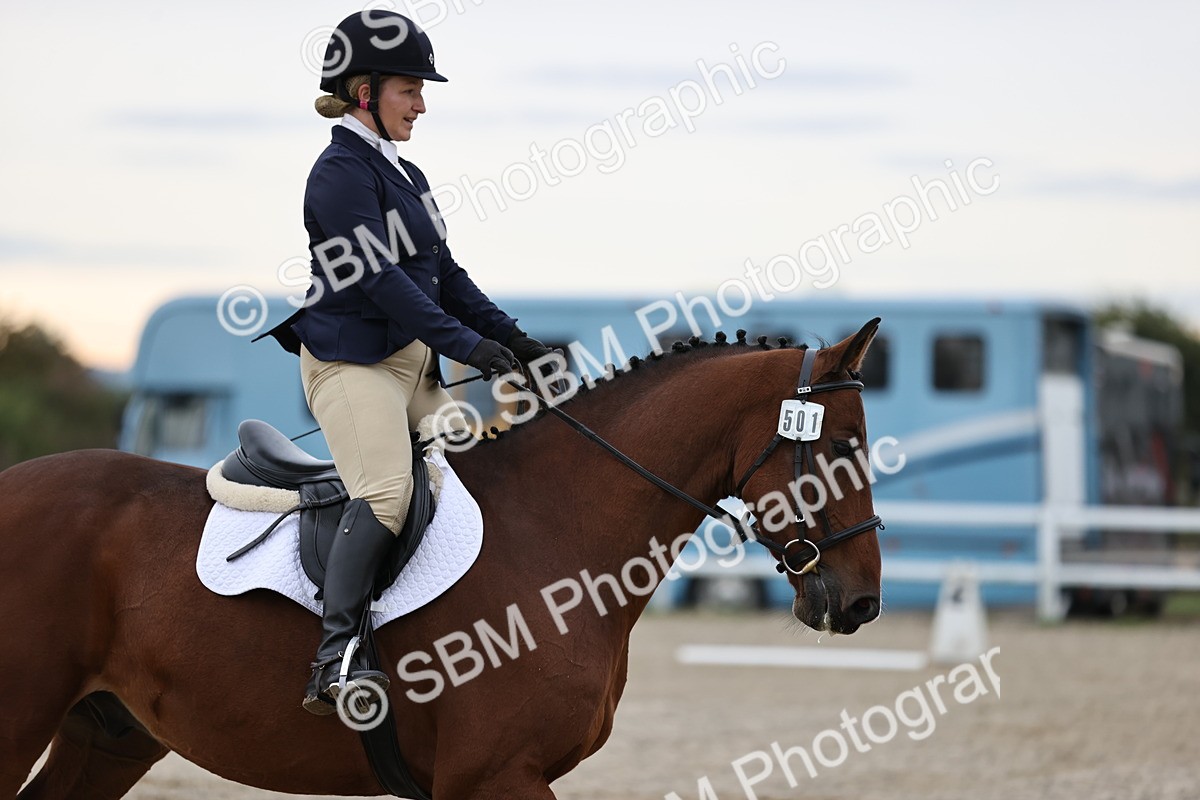 SBM_000309 - Prelim 3