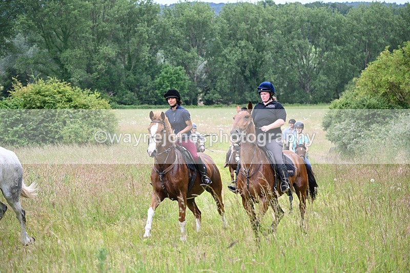 WJ6_8421 - Camera 1 Gallops