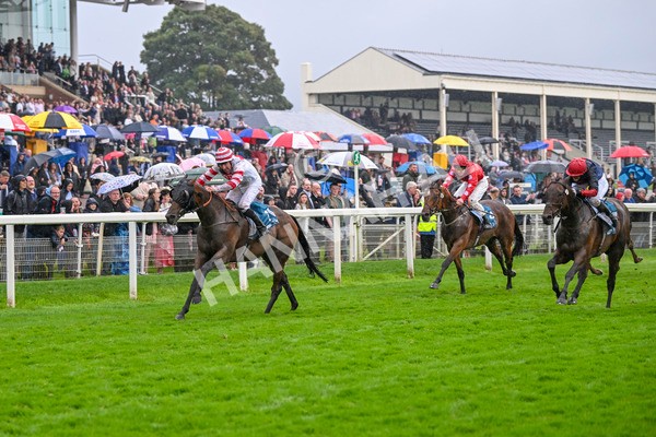 080924-Race 7-Young Fire-9710 - Race 7 5.10pm Elevator Company Amateur Jockeys' Handicap
