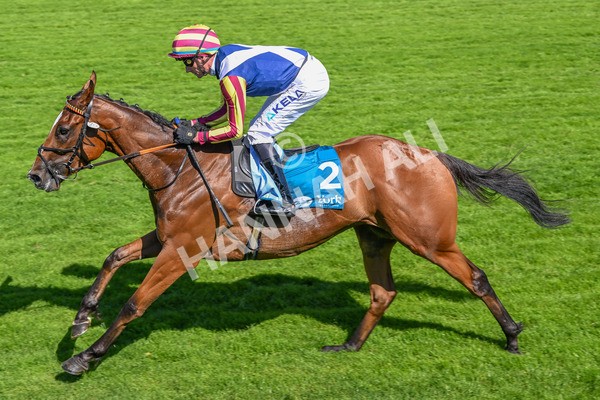 110725-Race 4-Dain Ma Nut In-4304 - Race 4 3.55pm Azets Handicap