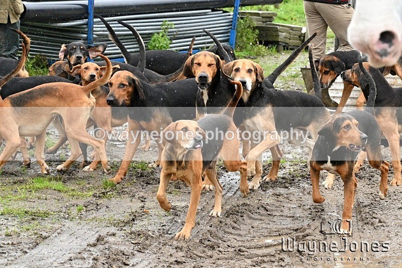 WJ7_8218 - Berks & Bucks Blackcroft Farm 20-10-24