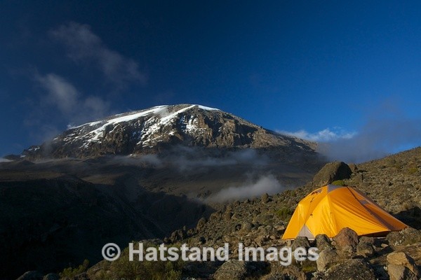 Kilimanjaro. January 2013 - nature