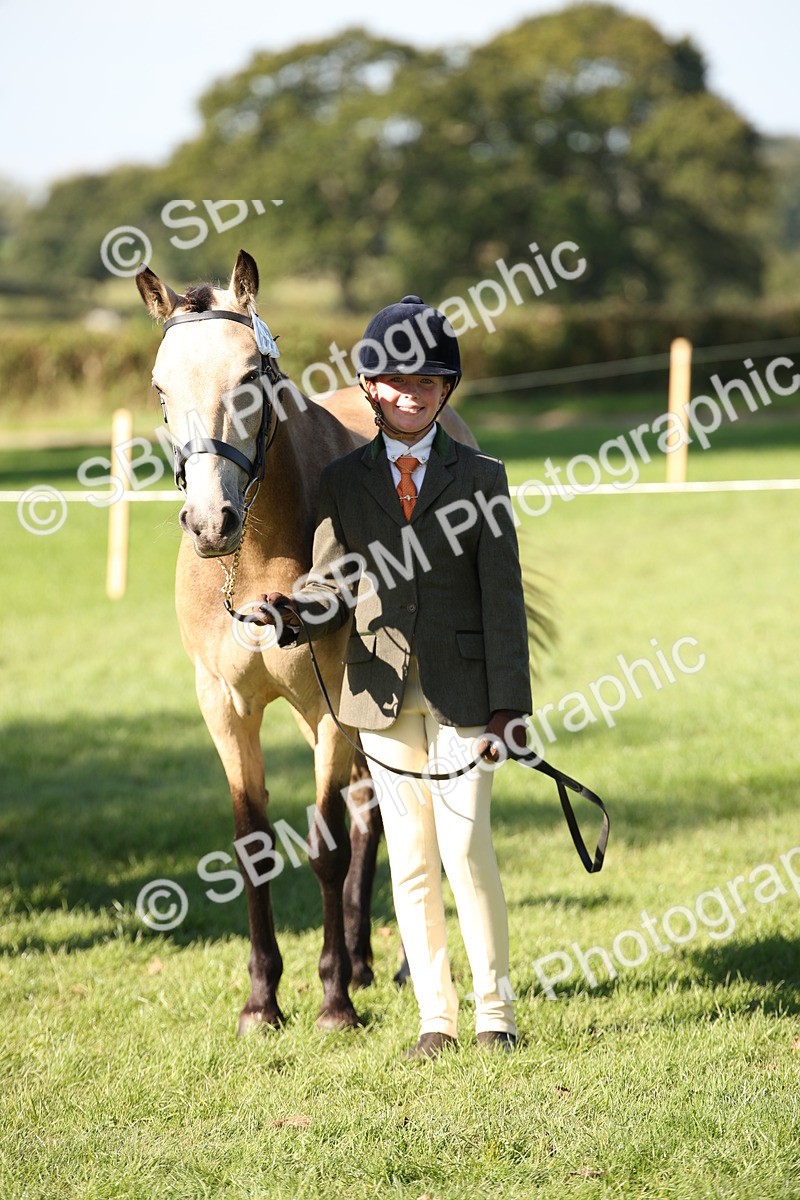 SBM_36676 - S10 - Best In Hand Horse & Pony