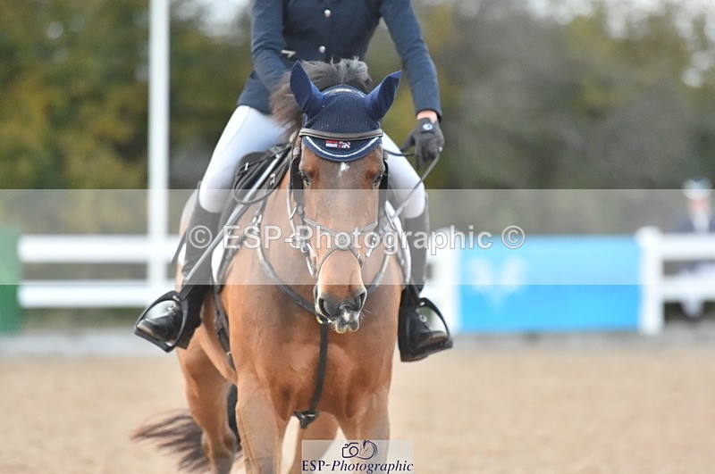 231111A-151334-02432 - Cls 14 Blue Chip 1.25m Winter Qualifier