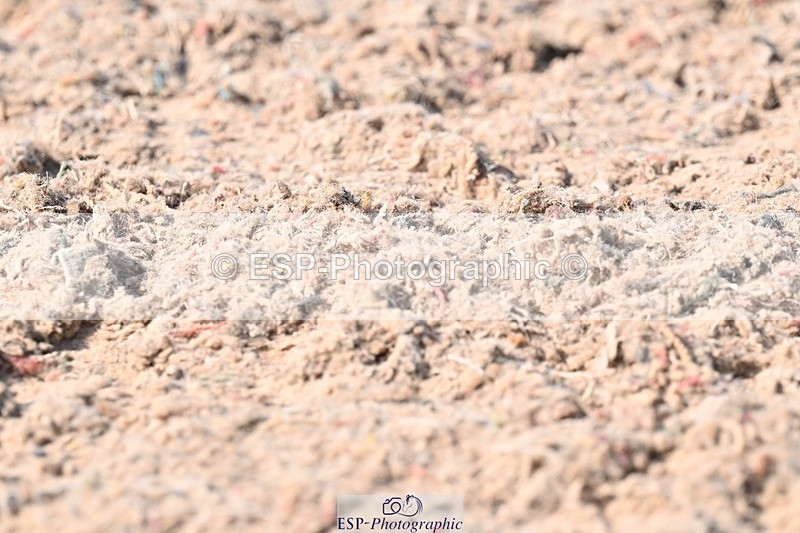 250620-164843-05409 - BD Cls 13 - Adv Medium 5