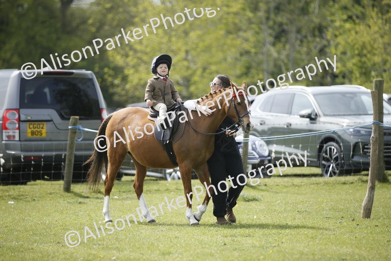 20260426-1874 - Class 7 - Pony Judge Would Most Like To Take Home