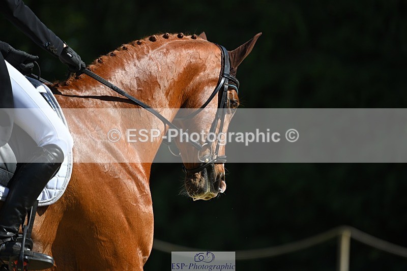 230526-155748-07226 - 252-LVS_MOVISTAR-Elizabeth_Barratt-WEDTrotUp+DR