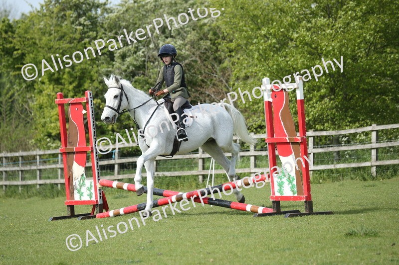 20260426-1525 - Class 14 - Novice 60cm