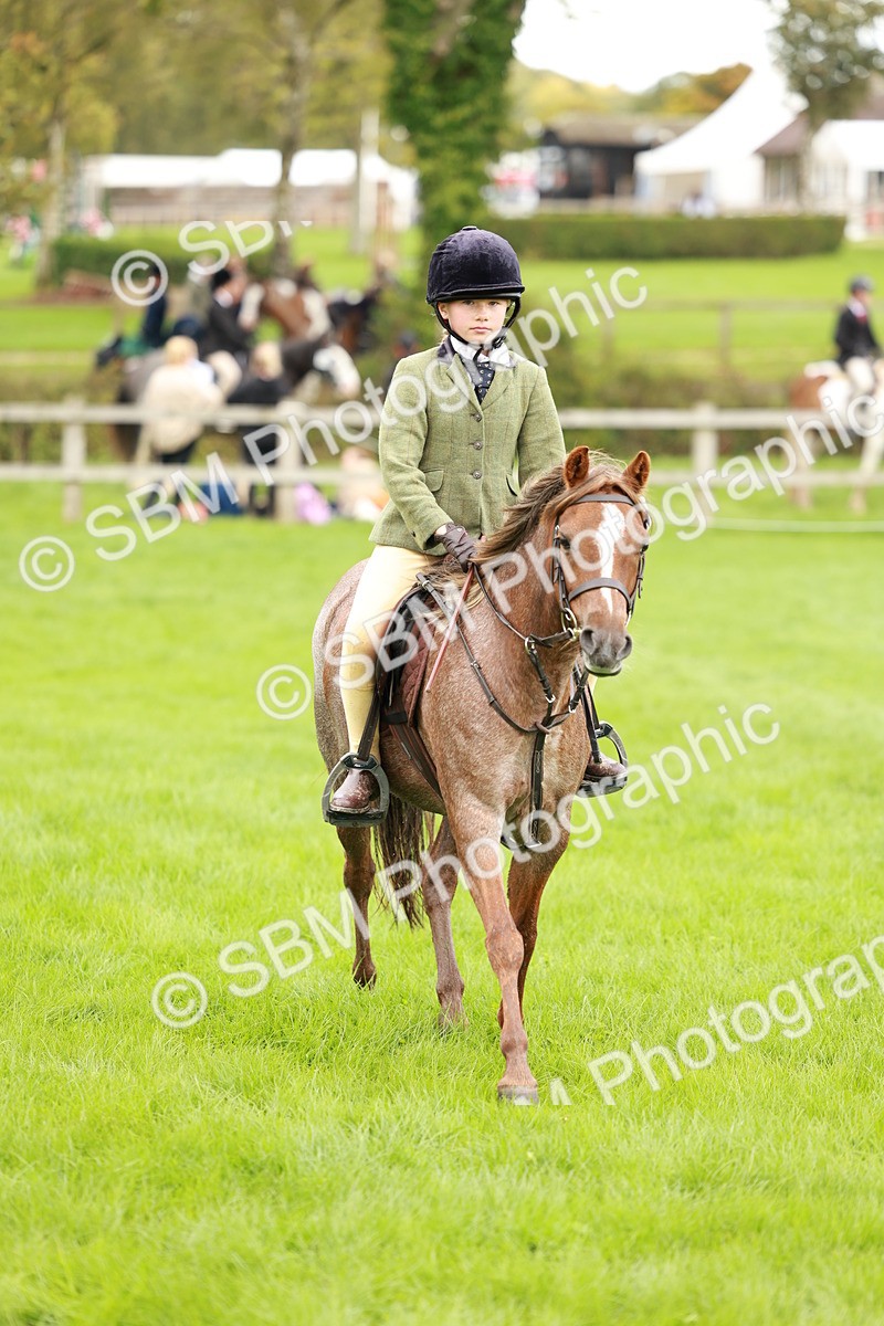 SBM_41778 - S32 - Mountain & Moorland Working Hunter Pony