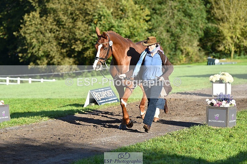 231022-095214-22083 - 484-JESATRAN.FIRECRACKER-Sally.Morton-TrotUp+SJ