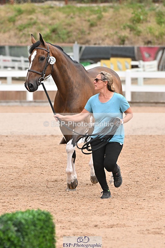 250716-144118-01305 - Trot Up 2.30 to 3.30