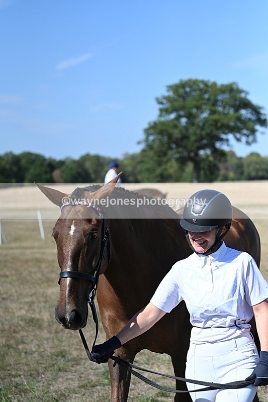 WJ7_1509 - Class 42 Most Handsome Gelding