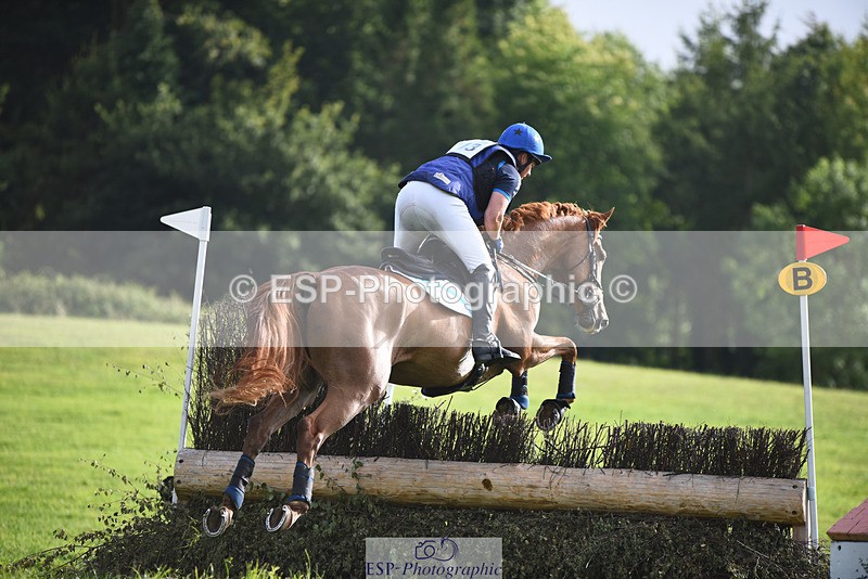 240804-175451-19594 - 713-Tim_Cheffings-HEARSAY_LARK_RISING