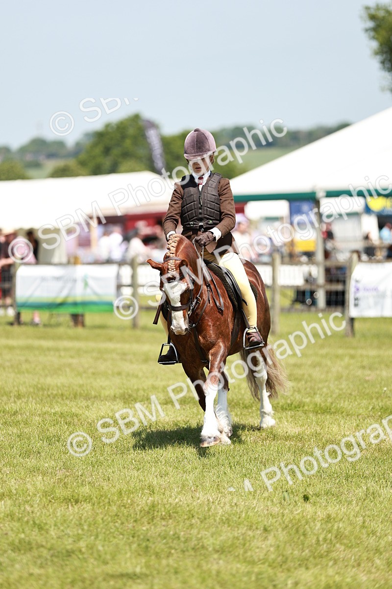 SBM_15511 - Class 108-109 - BSPS LIHS Open Gradle & Nursery Stakes