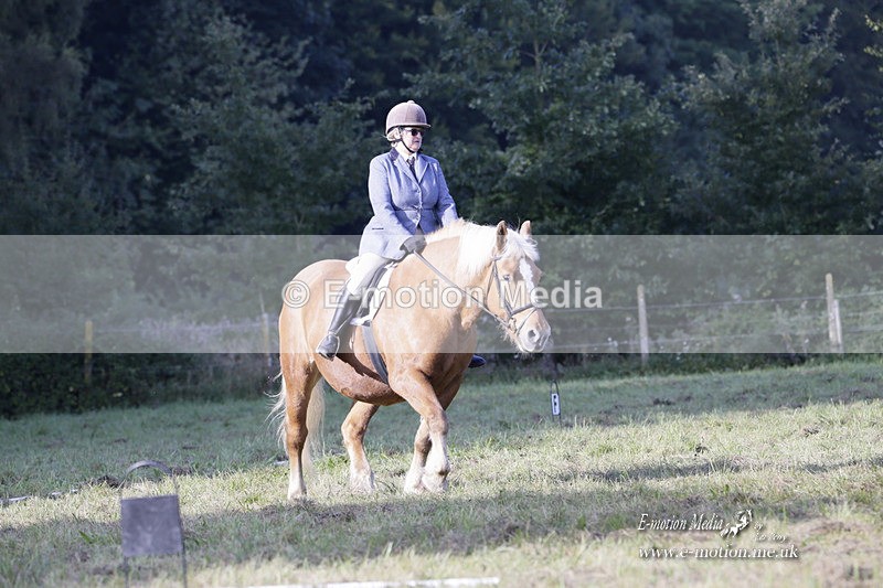BVRC 120921 89 - Bourne Valley Riding Club UA Dressage & Show Jumping 12/09/21