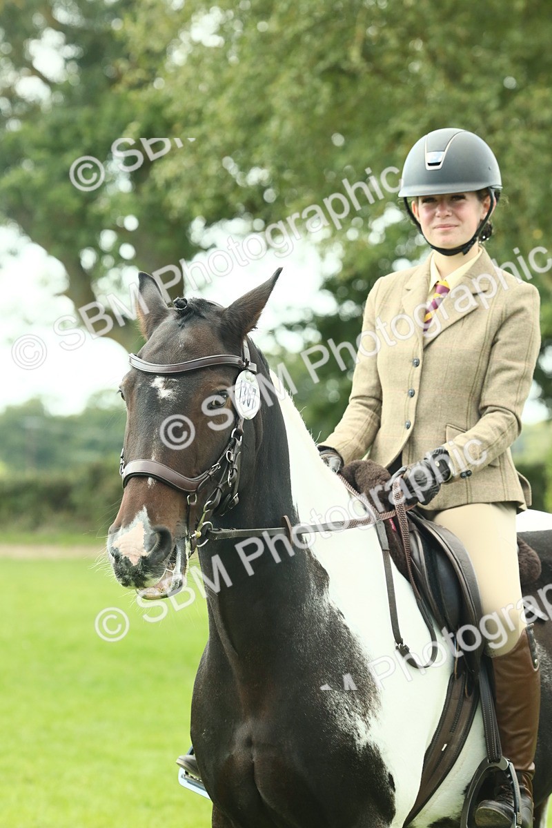 SBM_66456 - S34 - Rehabilitated Rescue Horse & Pony In Hand & Ridden