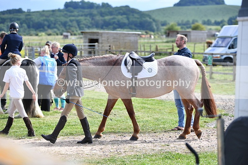 WJ5_7814 - Time 16:40 to 16:55