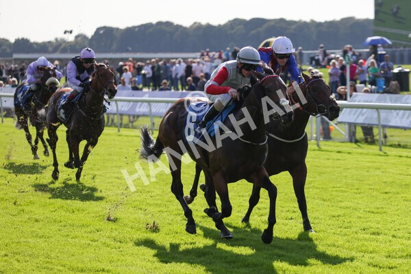yr08102021r1-21 - Race 1 2.05pm Parsonage Hotel and Cloisters Spa Nursery Handicap