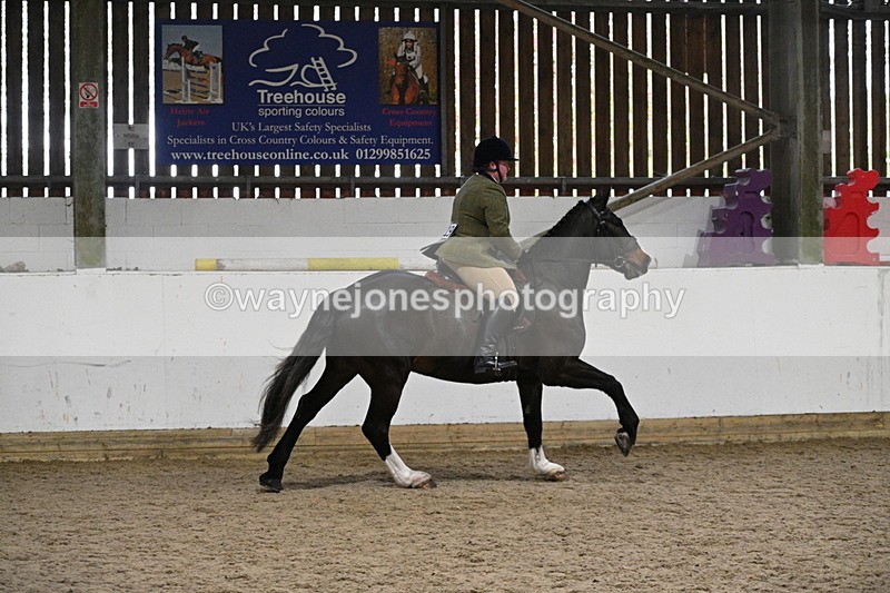 WJ7_3961 - Class 17 Ridden Cob