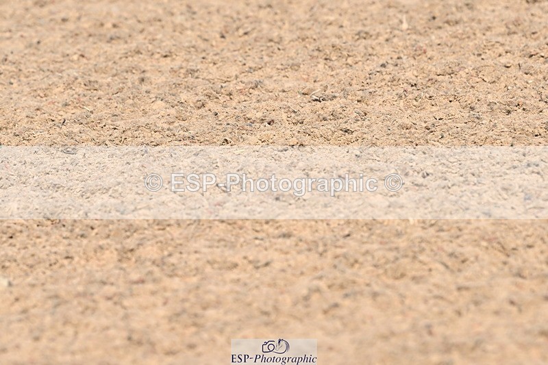 240509A-094500-00654 - Cls 8 Foxhunter