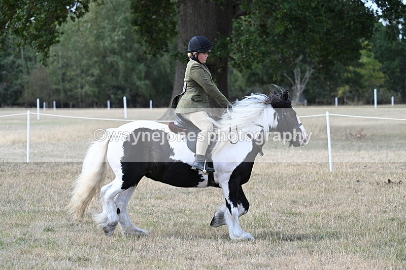 WJ7_7099 - Class 14 Ridden Coloured