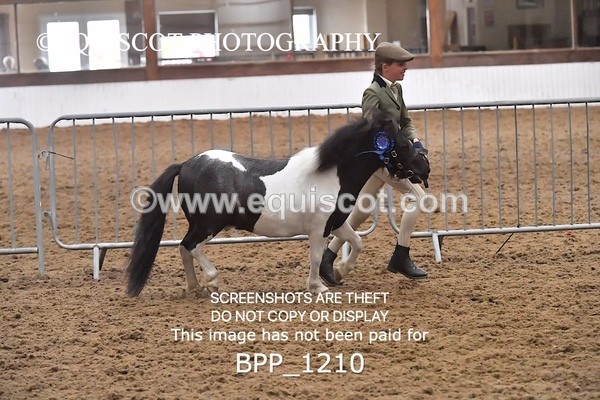 BPP_1210 - RING 2
