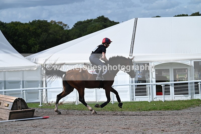 WJ7_2066 - Time 13:17 to 13:53