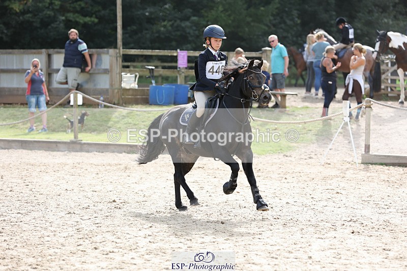 240823X-162216-19663 - 70cm Single Phase All