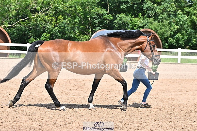 240718A-105317-01800 - Trot Up 1pm to 2pm