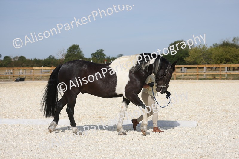 20260802-0859 - Class 9 - Youngstock