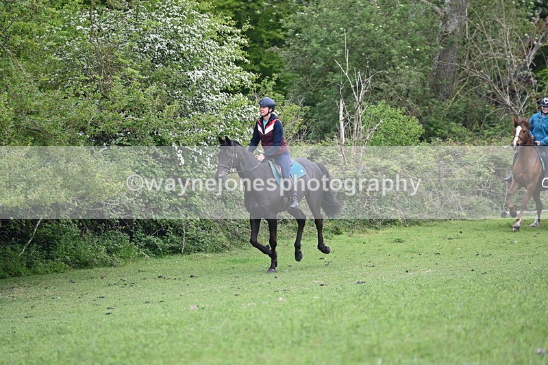 WJ6_2933 - A Camera