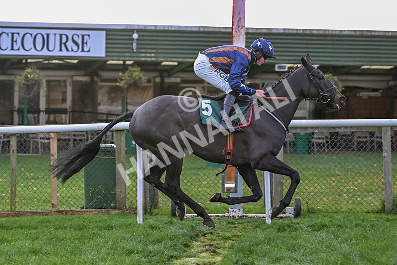 211125-Race 5-Sleeping Satellite-7916 - Race 5