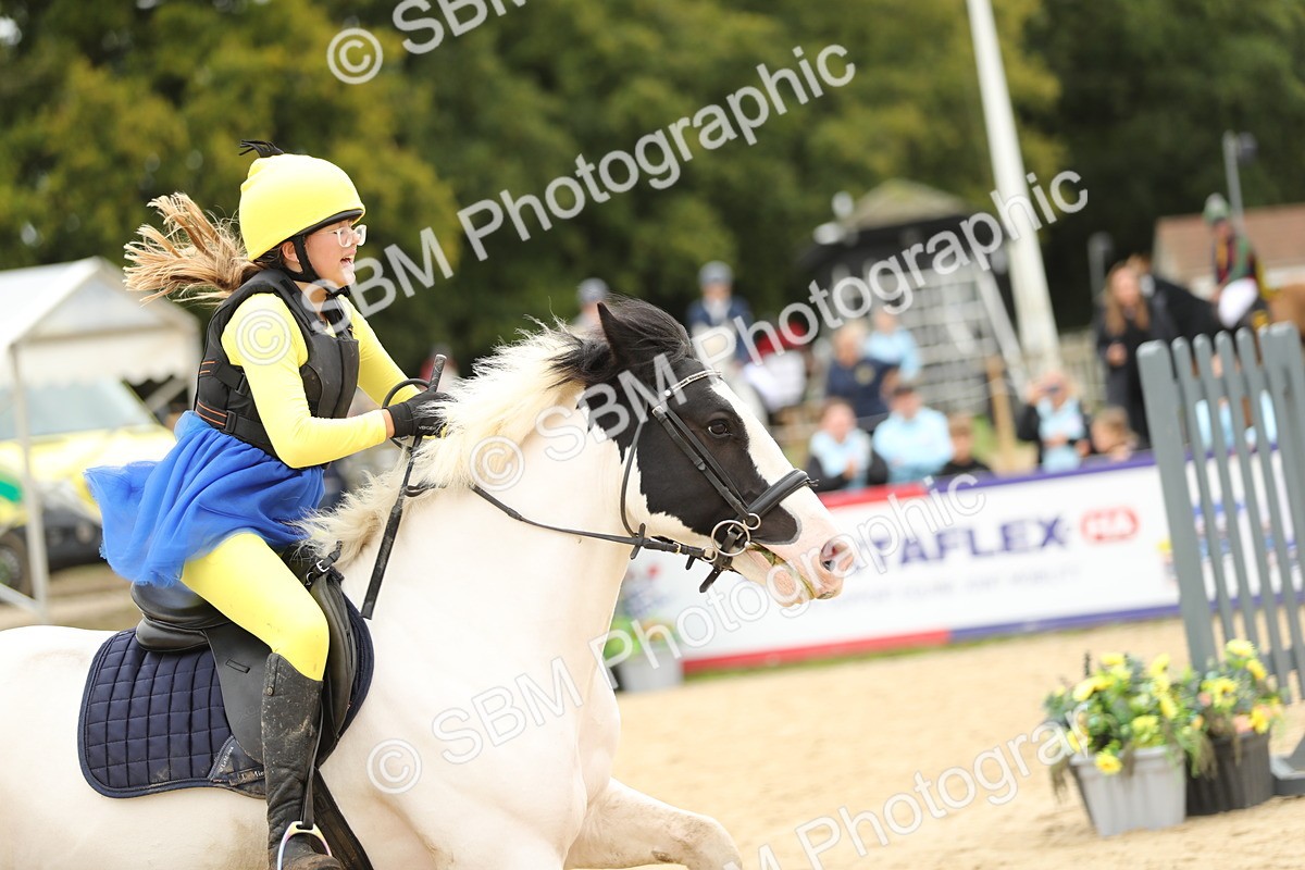 SBM_65797 - J48 - Pairs Jumping Open 70cm & 85cm