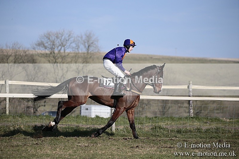 PtP 240218 339 - Vine & Craven Hunt Point-to-Point Barbury racecourse 24/02/18