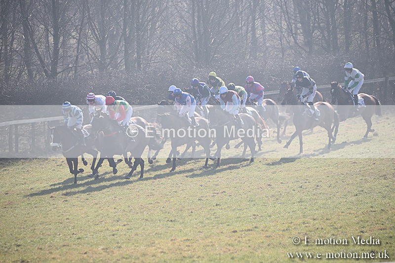 PtP 230219 38 - Vine & Craven Point-To-Point - Barbury 23/02/19