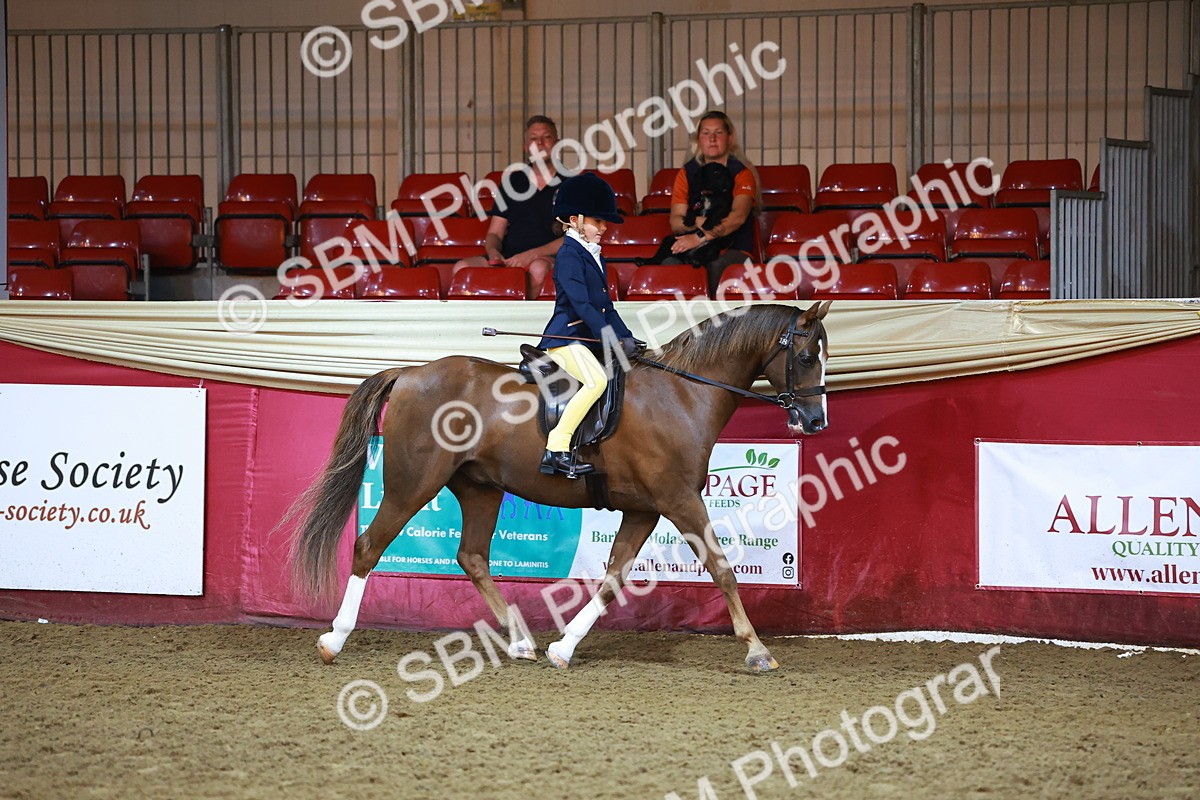 SBM_14817 - Class E - Best Turned Out Champ