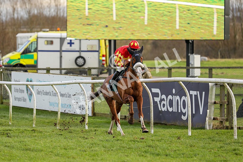 020224-Race 4-Treaty Boy-6824 - Race 4