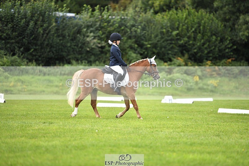 230826-133453-19815 - PC 70 1pm to 2pm